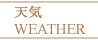 hmenu2.png